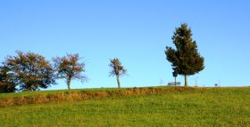 Schwarzwald-Ruhebank-2.jpg
