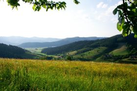 TAlblick-3.JPG