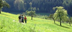 Im Frühtau zu Berge.jpg